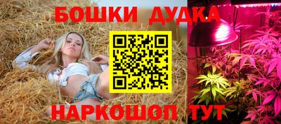 мдма Новодвинск