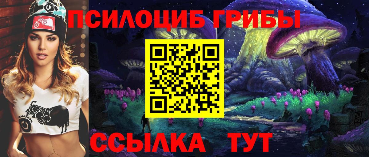 Псилоцибиновые грибы прущие грибы Славгород