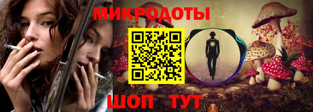 Псилоцибиновые грибы Magic Shrooms  Вход с VPN  Славгород  Псилоцибиновые грибы Psilocybe 