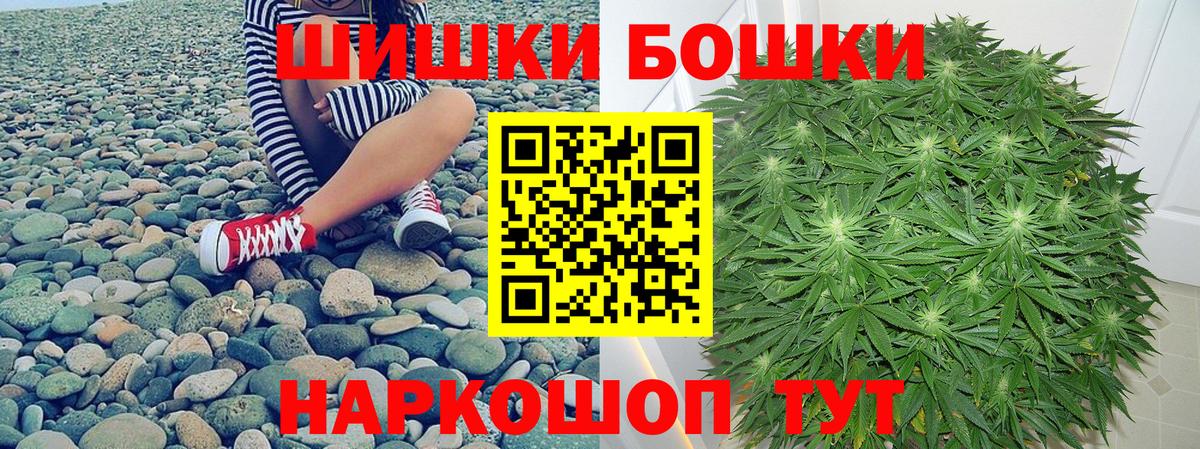 Конопля сатива Славгород